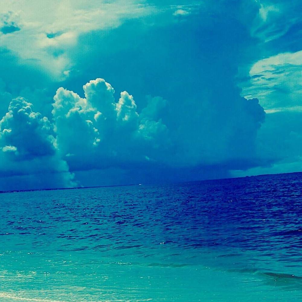 Meet your Posher, Hailey